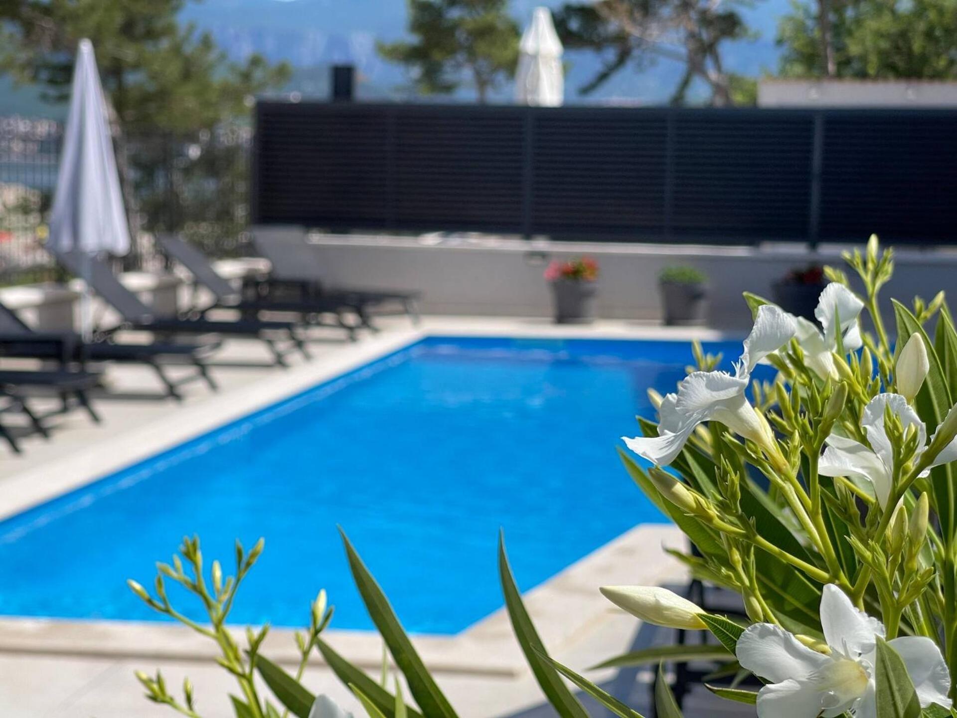 Villas Punta Silo - Luxury Apartments With Pool Екстер'єр фото